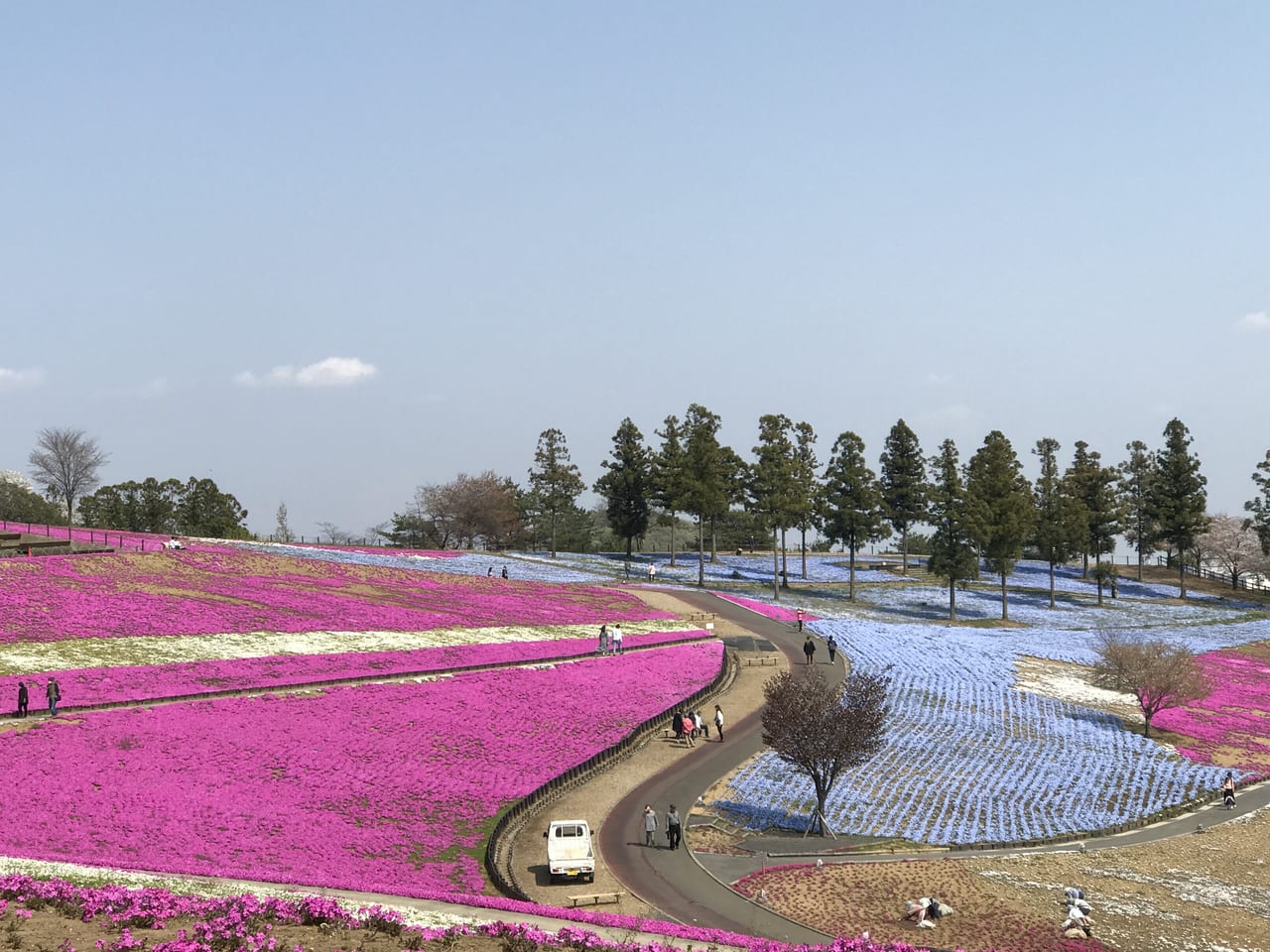 北部運動公園２