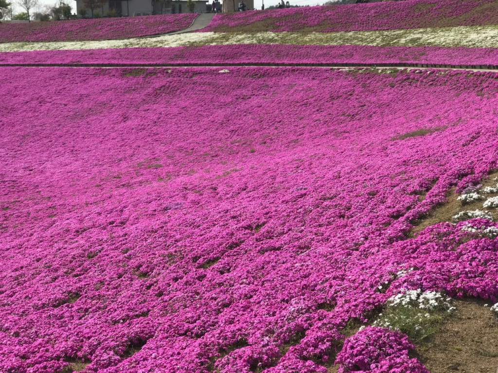 北部運動公園