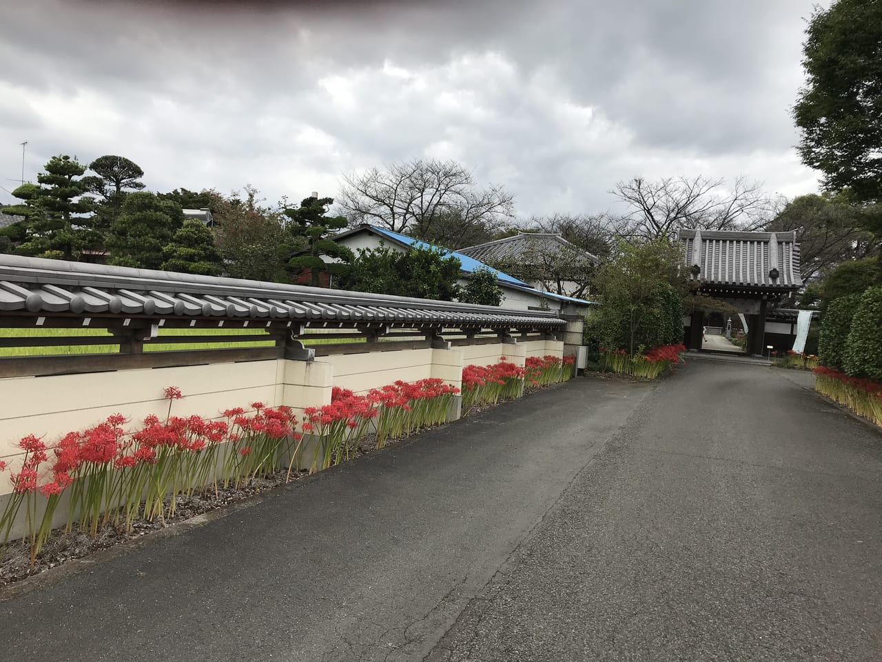 常楽寺