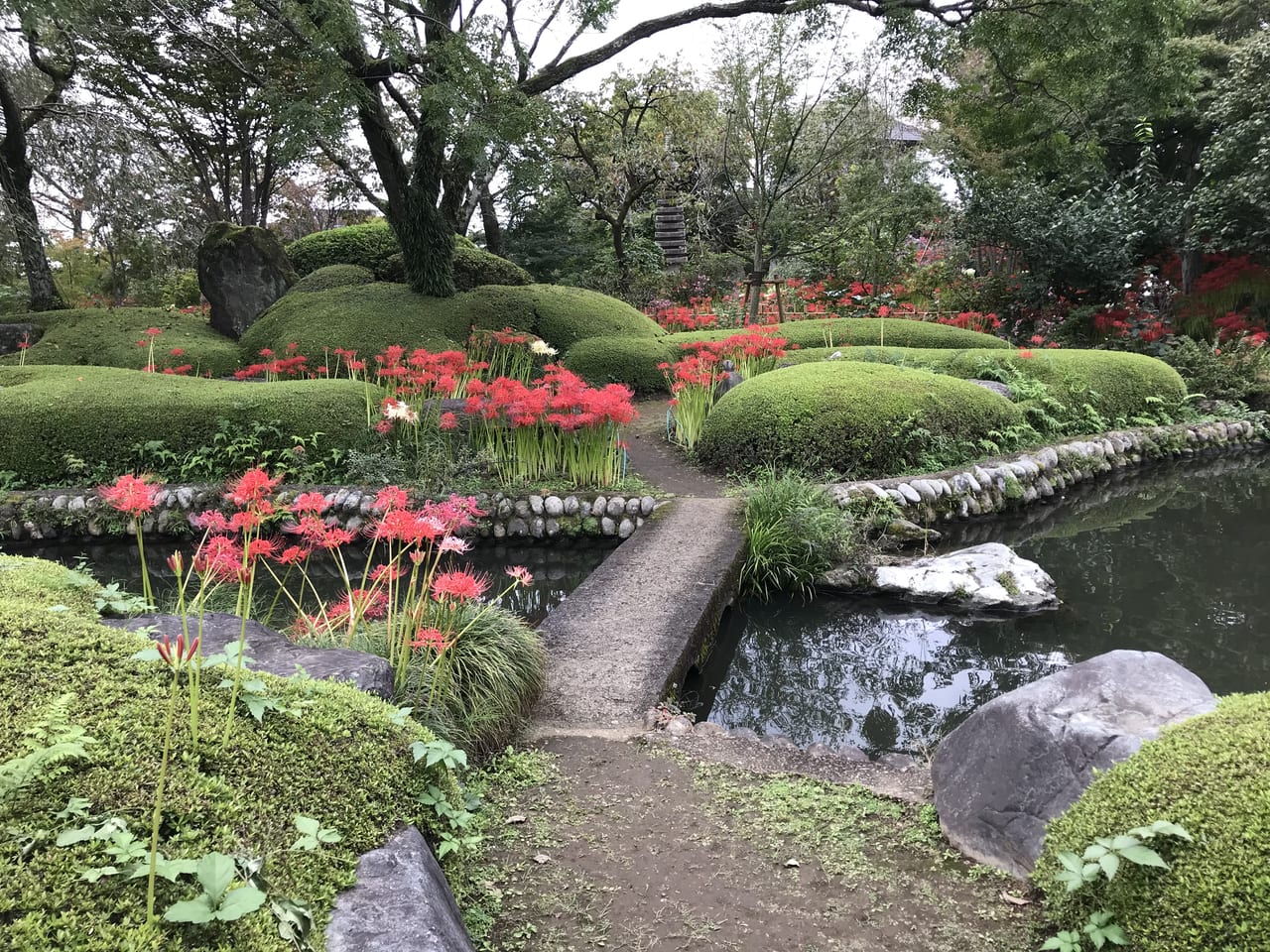 常楽寺