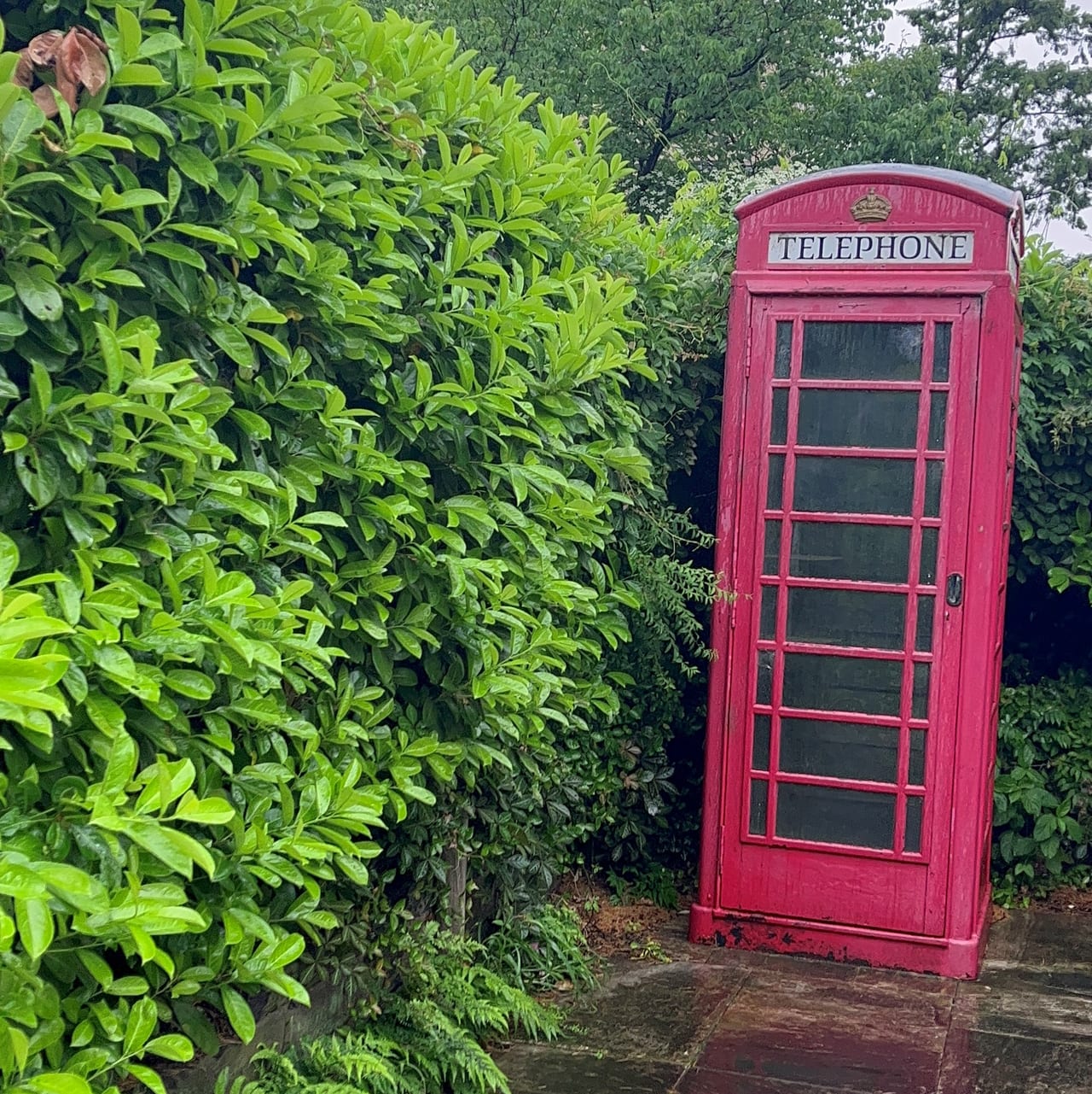 エアリス小さな森公園の電話ボックス