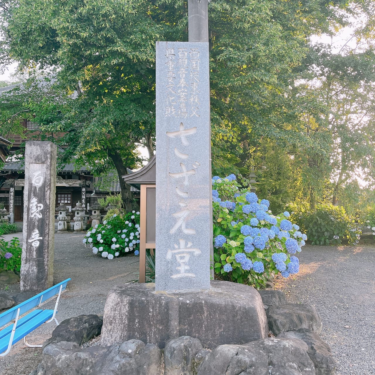 曹源寺さざえ堂のあじさい