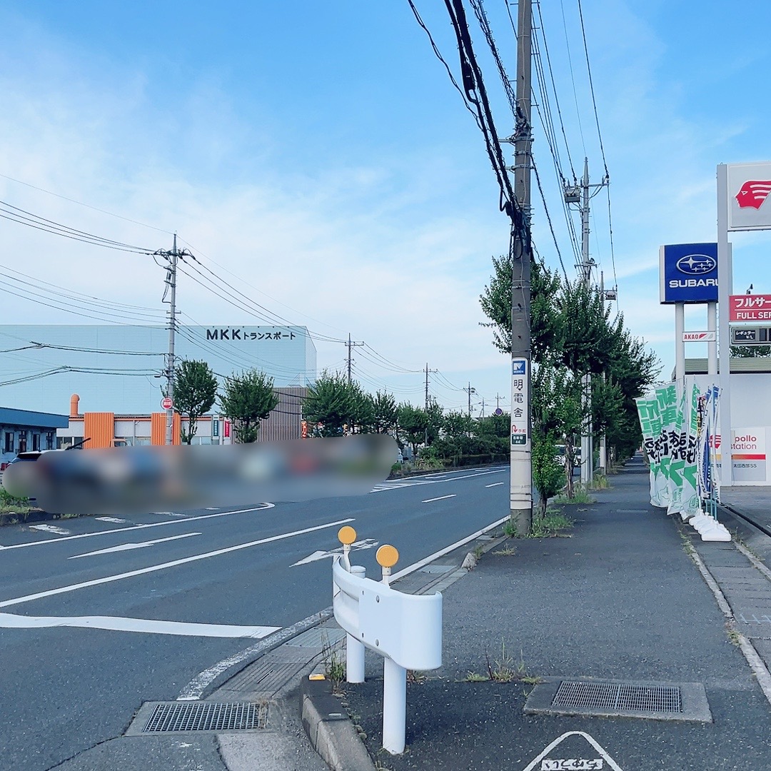 ビッグモーター太田店前の街路樹