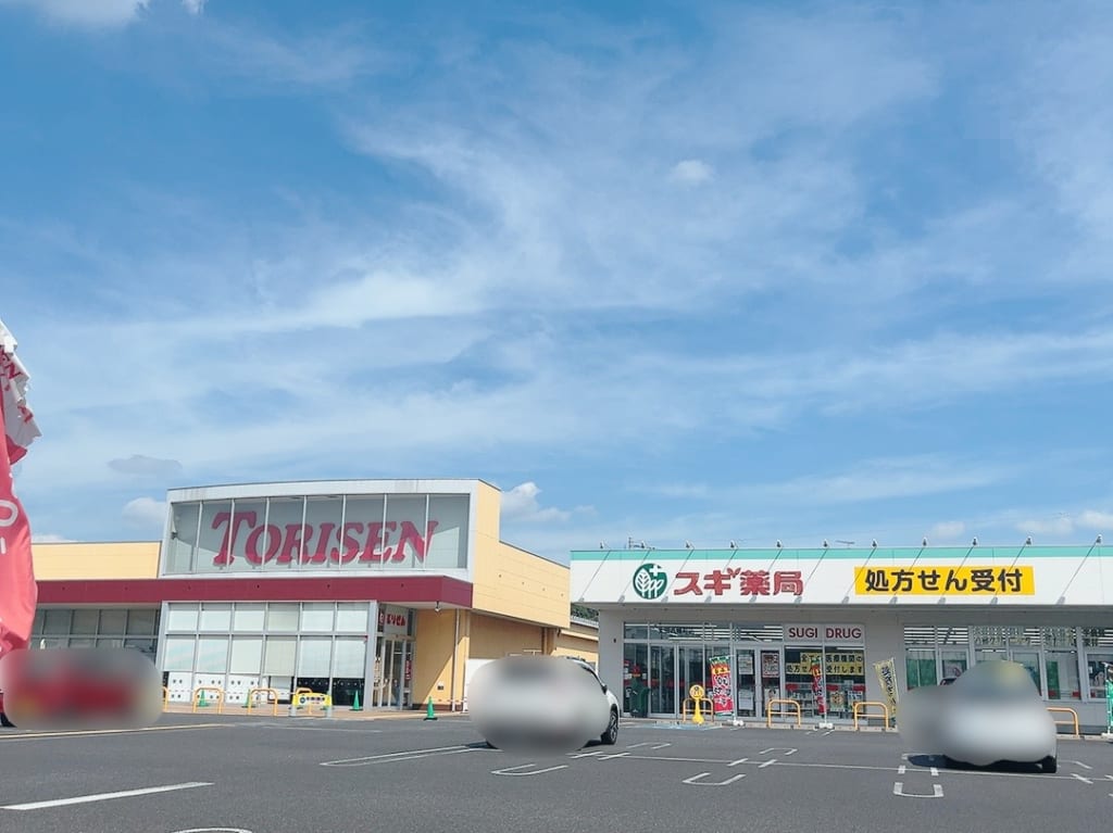 スギ薬局太田八幡町店ととりせん