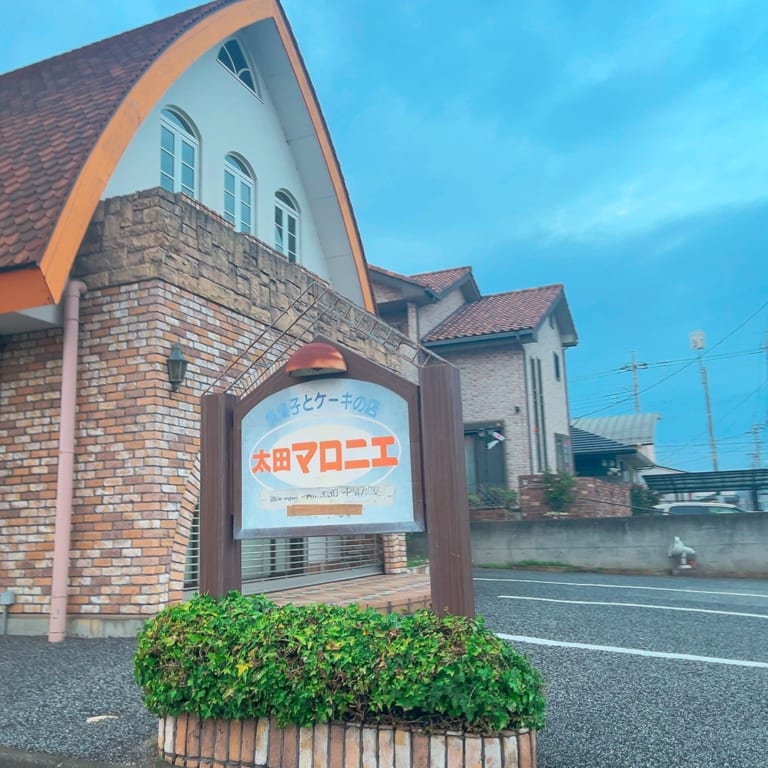 太田マロニエ