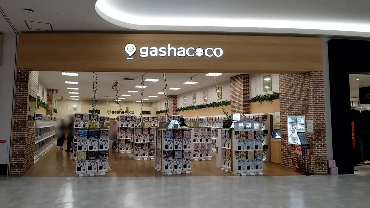 gashacoco