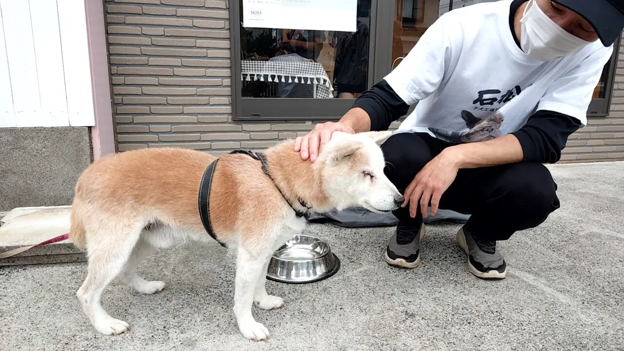 美力祭マルシェ