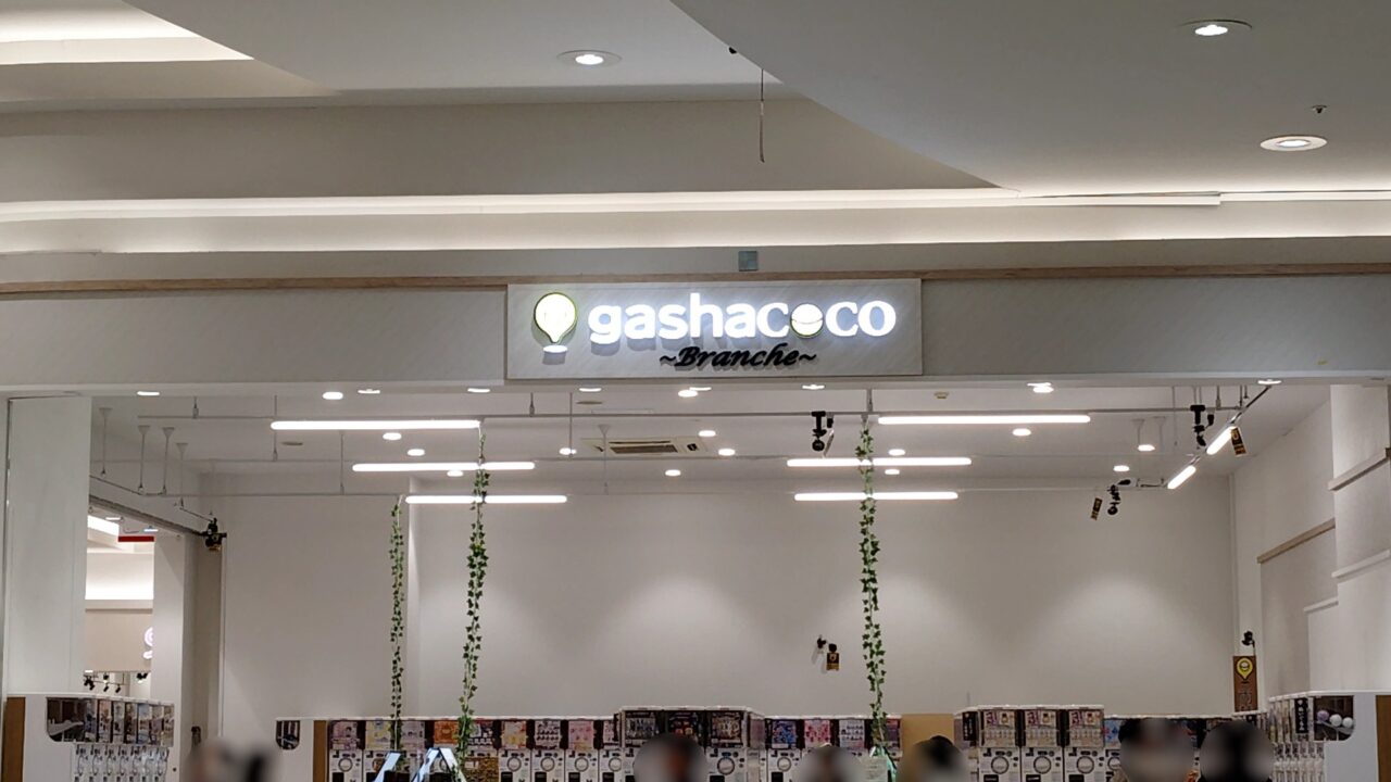 gashacoco Branche