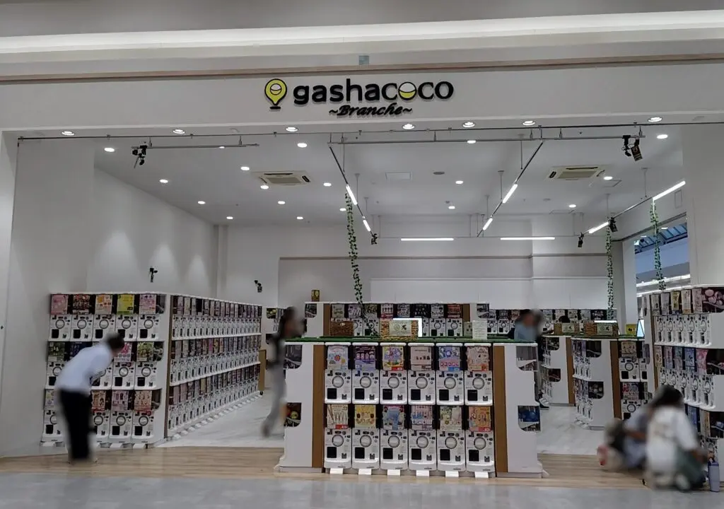 gashacoco Branche