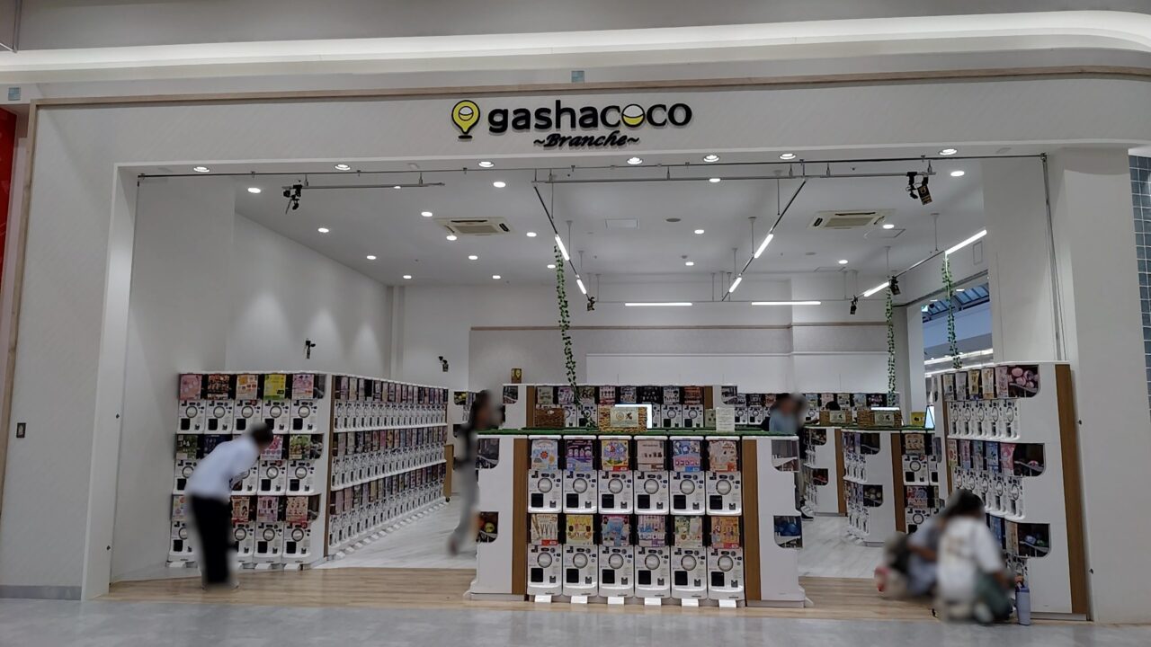gashacoco Branche