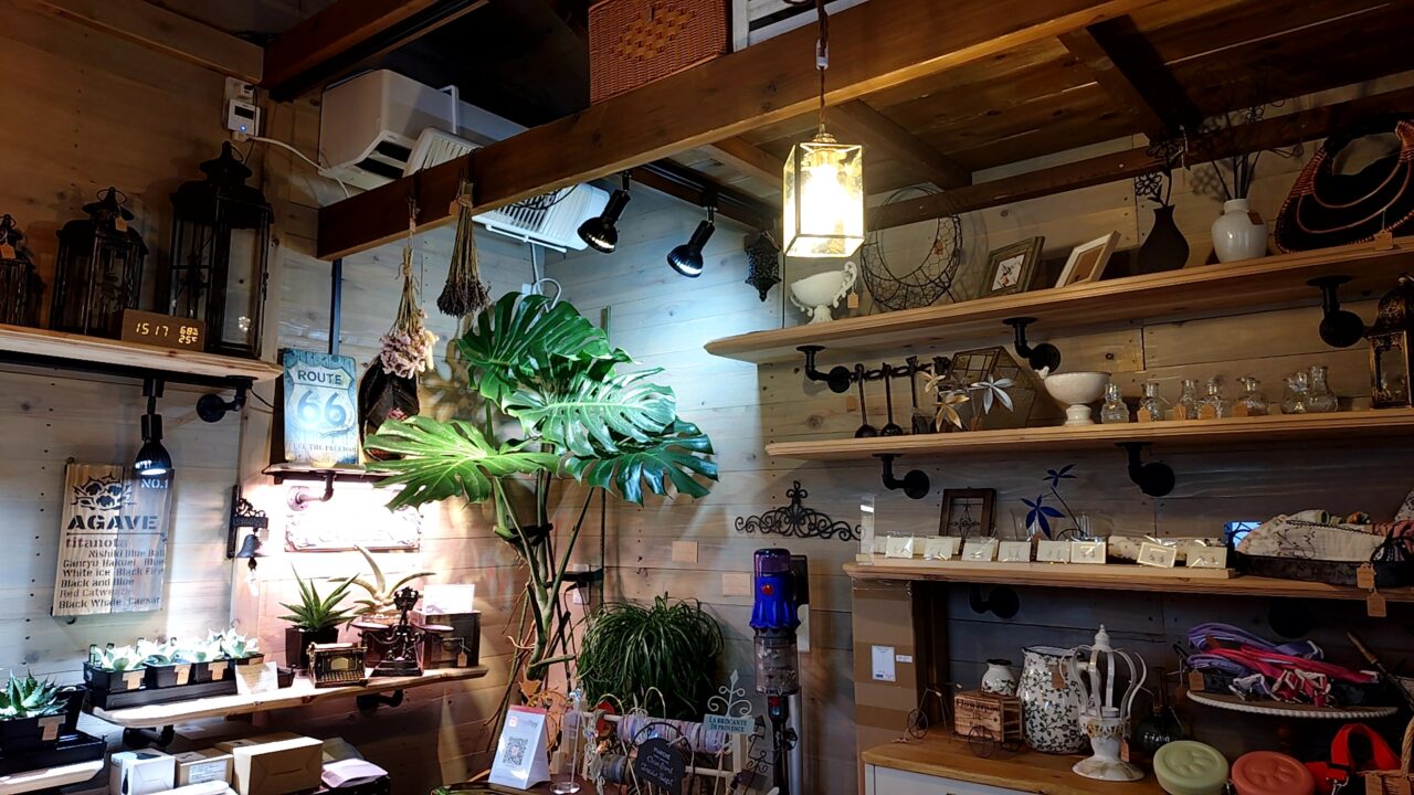 KARHU Plants