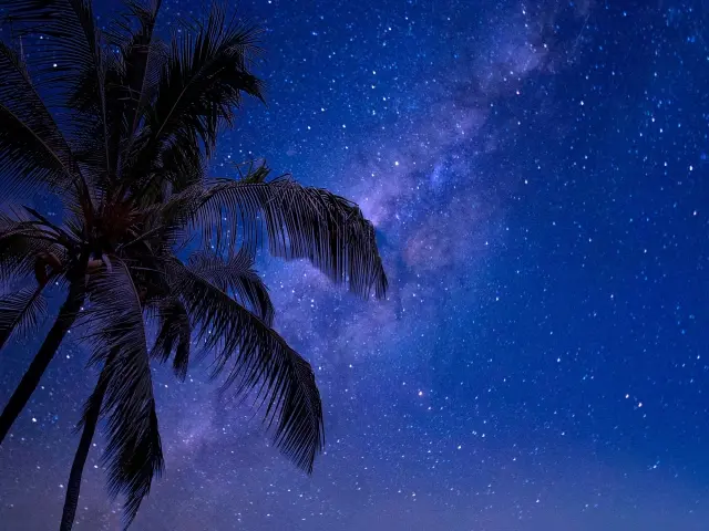熟睡プラ寝たリウム